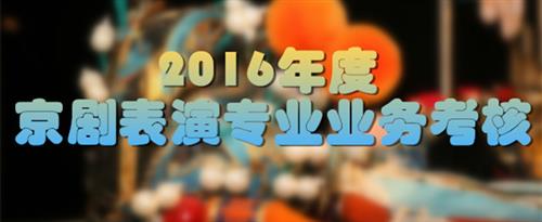 老BBW性爱国家京剧院2016年度京剧表演专业业务考...